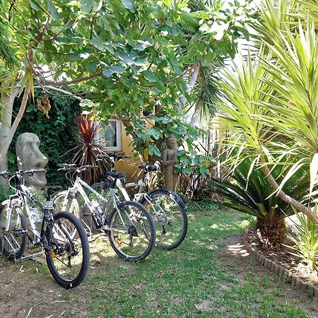 La Maison De Coco *